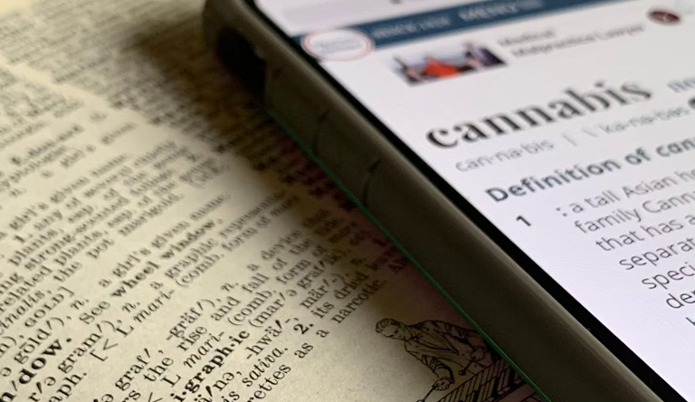 What Are Terpenes in Cannabis? Aroma, Interaction, and How They Are Commonly Understood