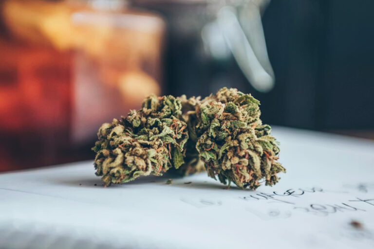 CBD Legality and Safety Explained: A Global Guide to THC Thresholds and Regulatory Differences