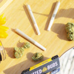 When Does Cannabis Start Working? Onset, Peak, and Duration Explained