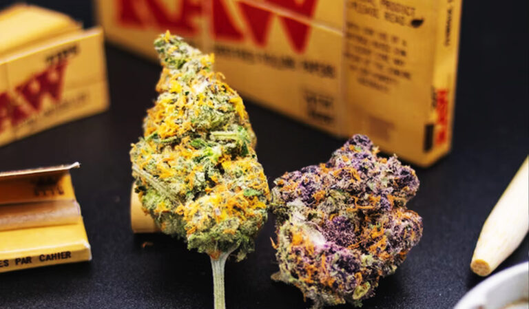 What Happens When You Take THC and CBD Together? The Science of "High and Calm" in Balance