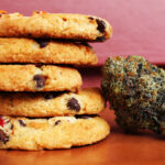 Smoking, Eating, or Applying Cannabis: How the Method Changes the Experience