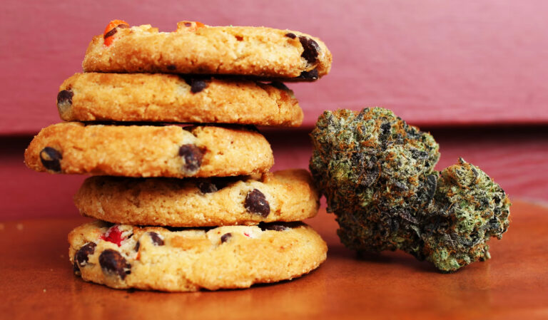 Smoking, Eating, or Applying Cannabis: How the Method Changes the Experience