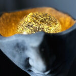 How Cannabis Changes the Brain and Senses: A Structured Look at What You’re Actually Experiencing