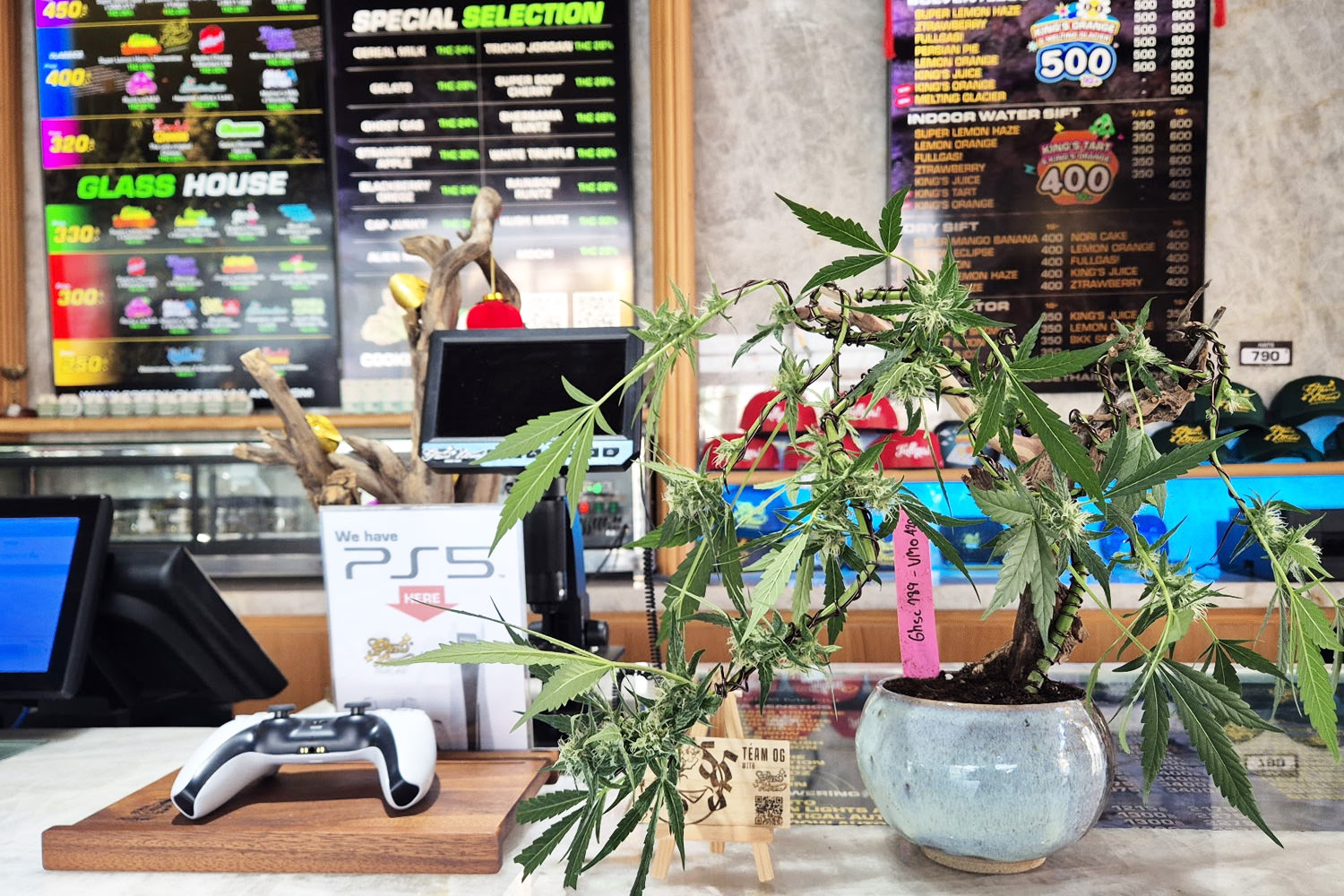 Green House Nuanchan | Cannabis Clinic in Nuanchan, Bangkok