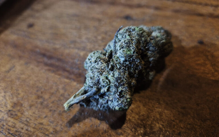 Characteristics of Sour Diesel | Sharp diesel aroma that sparks mental clarity “Energetic Sativa High”