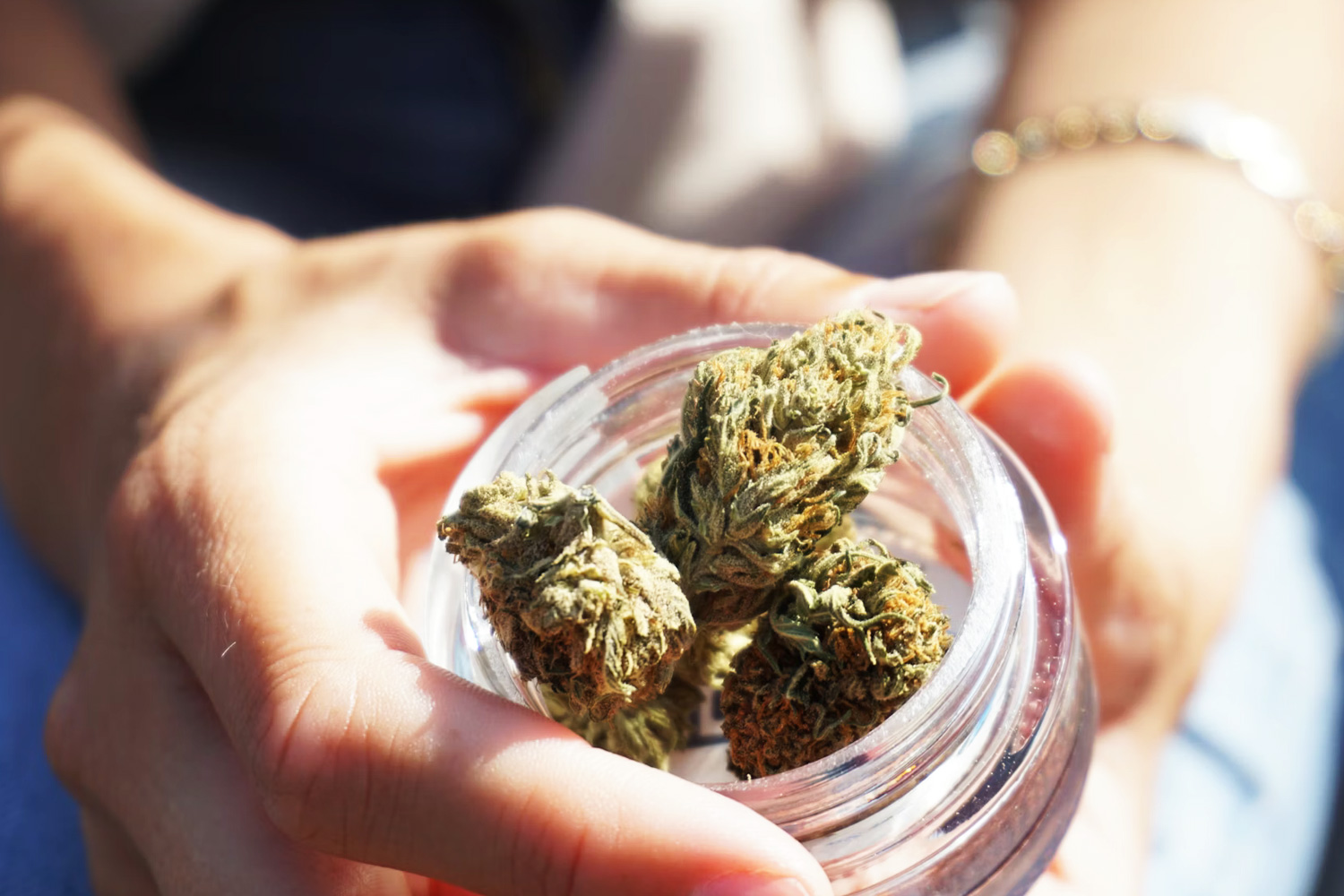 How Cannabis Affects Your Nervous System and Hormones: A Structured Look at What’s Actually Happening