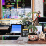 Bangkok 420 2026 — A Day Spent Almost Entirely with Cannabis Bonsai