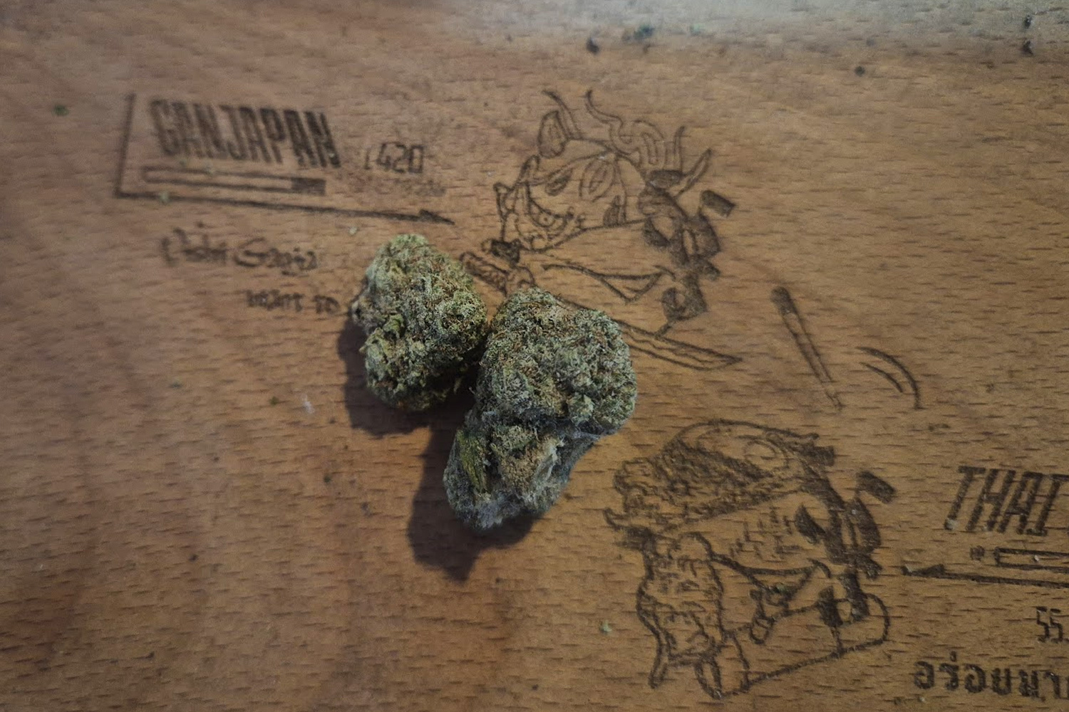 Characteristics of Gelato 41 × Hardcore OG | Creamy sweetness with heavy gassy depth that deeply relaxes the body “Heavy Balanced High”