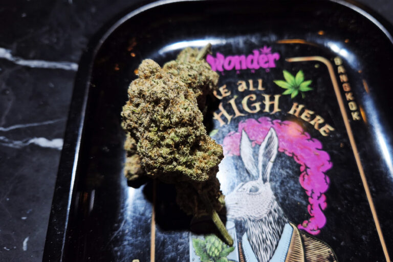 Characteristics of MAC1 | Creamy citrus aroma that clears the mind “Balanced Clear High”