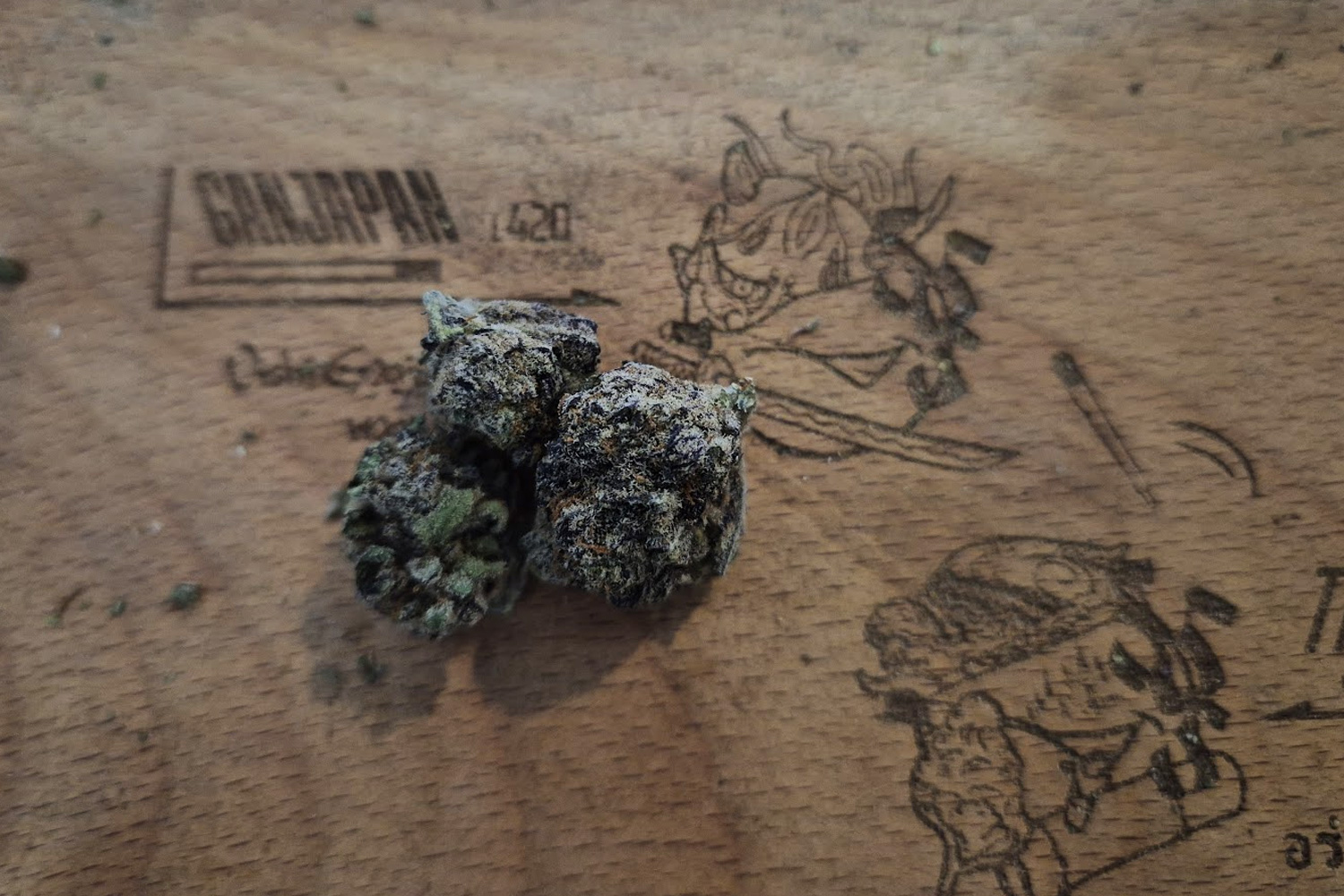 Characteristics of Mango Haze | Tropical sweetness that expands the mind “Fruity Sativa High”