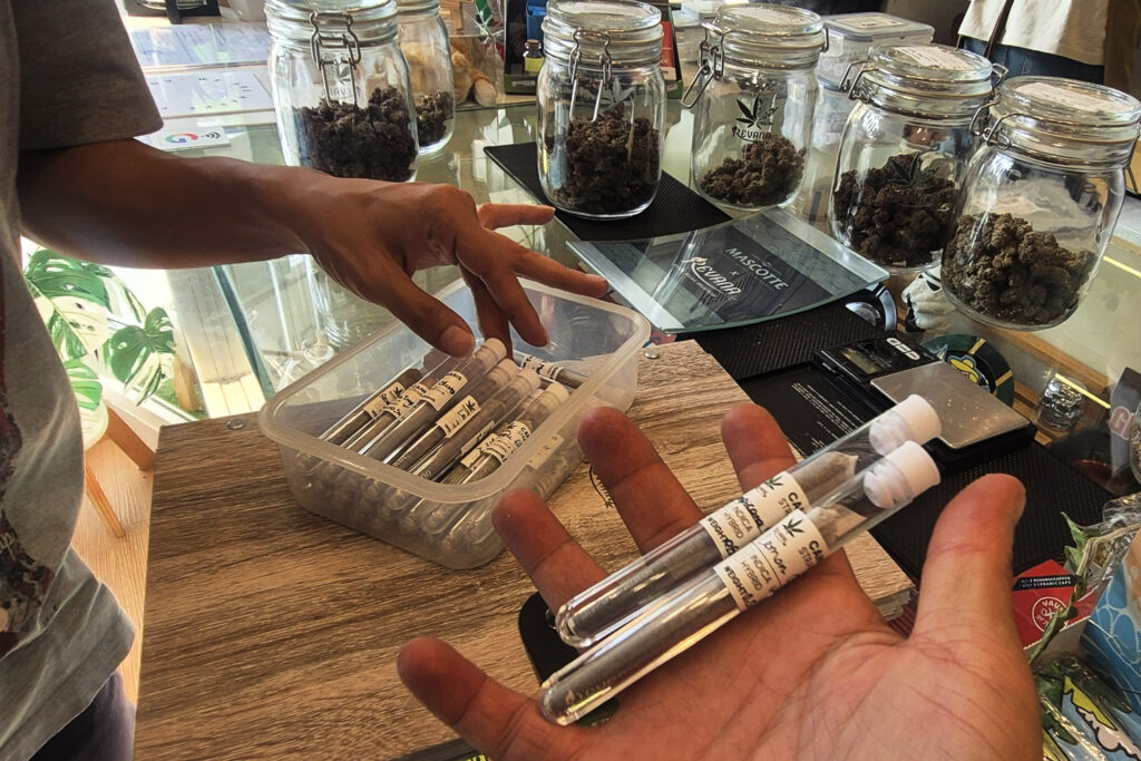 Cannabis in Thailand During Golden Week 2026 — What Changes, What to Expect, and 10 Dispensaries Worth Visiting