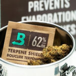 Old Cannabis — Degraded or Different? How THC, Terpenes, and Time Change the Experience