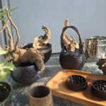 My Ganja Bonsai Was an Art of Redefining Value All Along