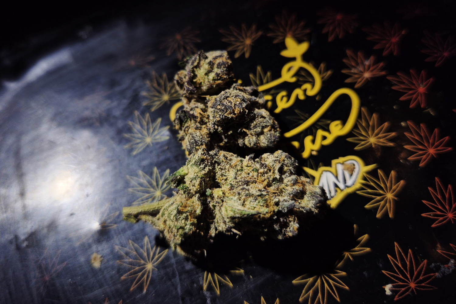 Characteristics of Super Mango Haze | Tropical sweetness layered with bright citrus notes “Fruity Bright Profile”