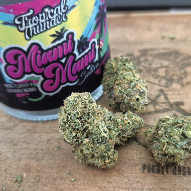 Characteristics of Miami Mami | A Tropical Dessert Profile Layered with Exotic Fruits and Creamy Sweetness