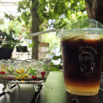 A Day in the Life of a Cannabis Bonsai Artist, Starting at a Cat Cafe in Bangkok
