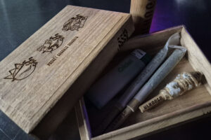 5 Cannabis Strains Worth Trying — Picked by a Cannabis Bonsai Artist in Thailand, May 2026