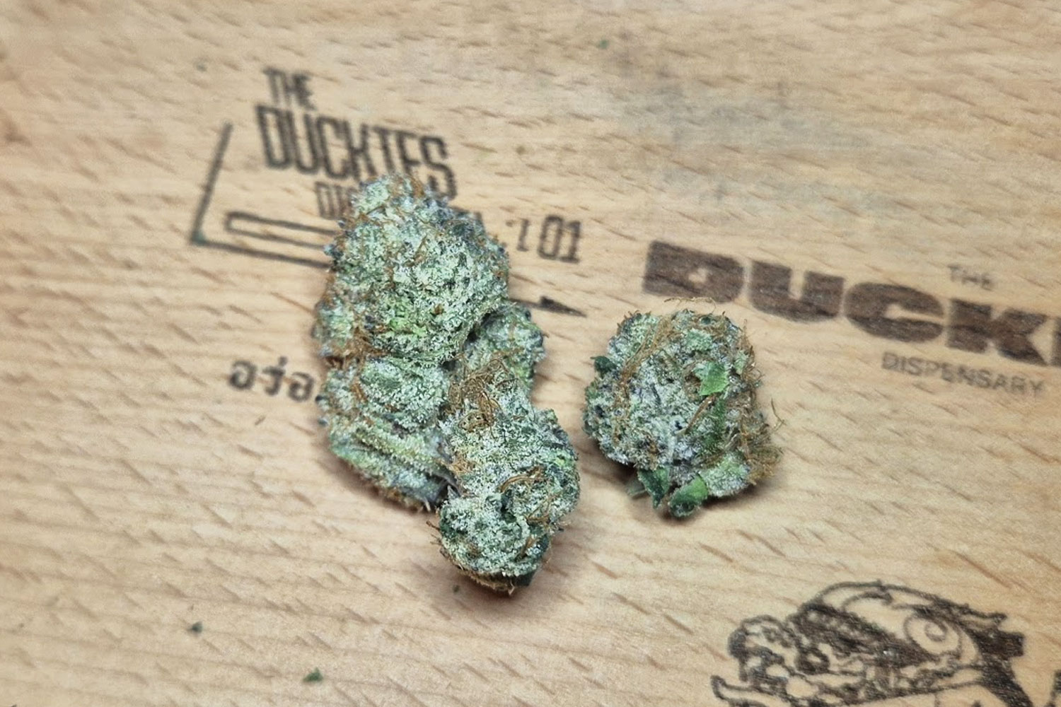 Characteristics of Big Z | A Sweet Fruit Profile Layered with Fruity Candy and Bright Citrus