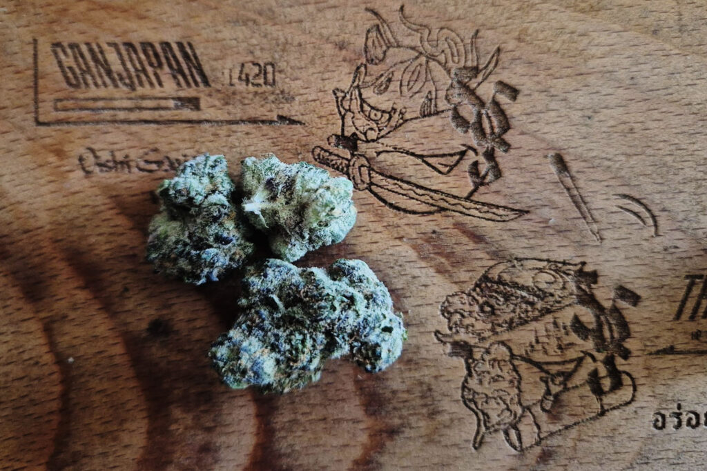 Characteristics of Pineapple Bang | Explosive tropical sweetness with bright citrus notes “Tropical Bright Profile”