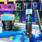 What Is Kiefez? A Complete Guide to Thailand’s Premium Infused Pre-Roll Brand