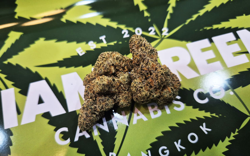 Characteristics of ZAPPLE | A Layered Profile of Tart Green Apple, Creamy Gas, and Sweet Citrus