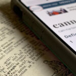 【医療大麻の真実】大麻に含まれるテルペンとは？効果・種類・アロマとの違いを徹底解説