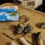 【2025年版】初めてタイで大麻を吸う人へ｜合法化の現状と安全に楽しむための完全ガイド