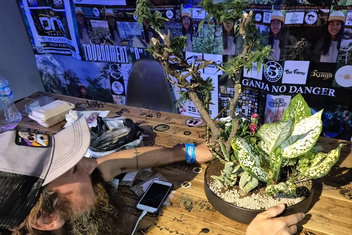 Ganja Cupに展示した大麻盆栽