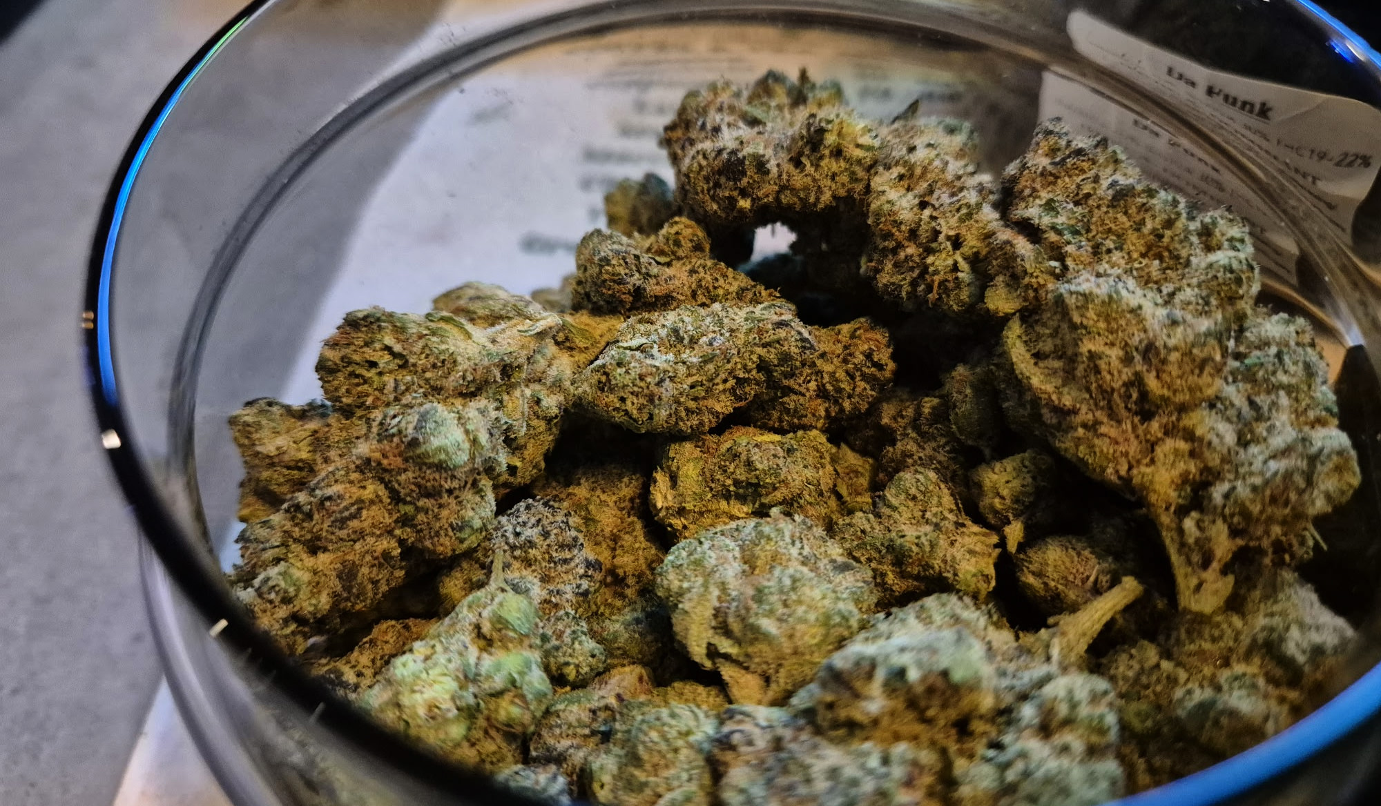 参考リンク画像