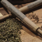 初めての大麻 “適量”ガイド｜初心者が安心して楽しむ為の目安