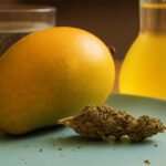 食べるとハイが強くなる？大麻の効果を高める5つの食べ物とその科学的理由