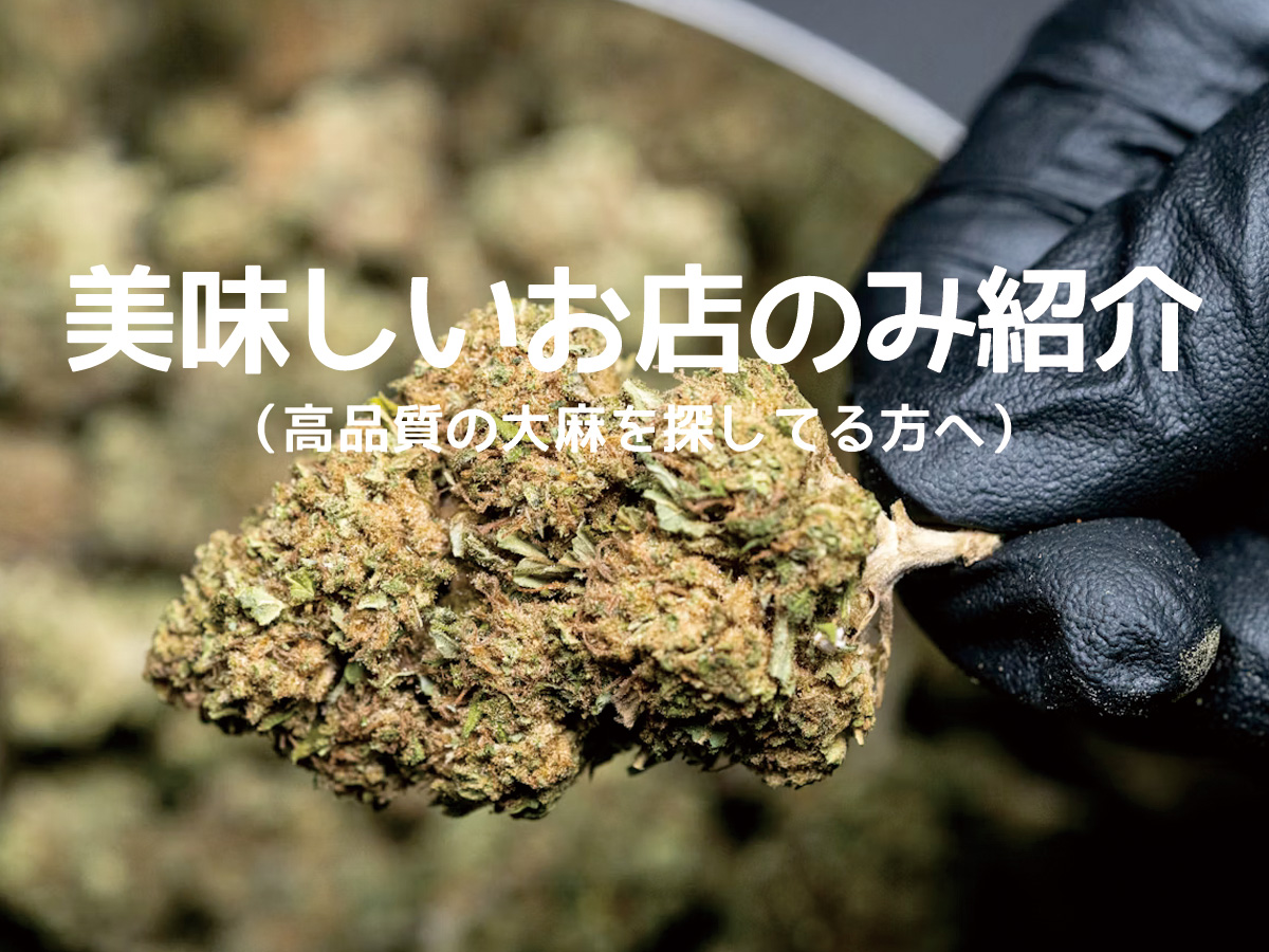 おすすめディスペンサリー