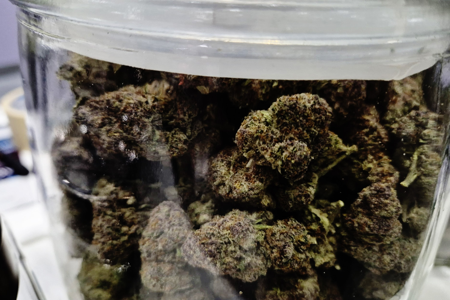 タイ・チョンブリー県にある「Siam Happy Farm Co., Ltd.」のブース