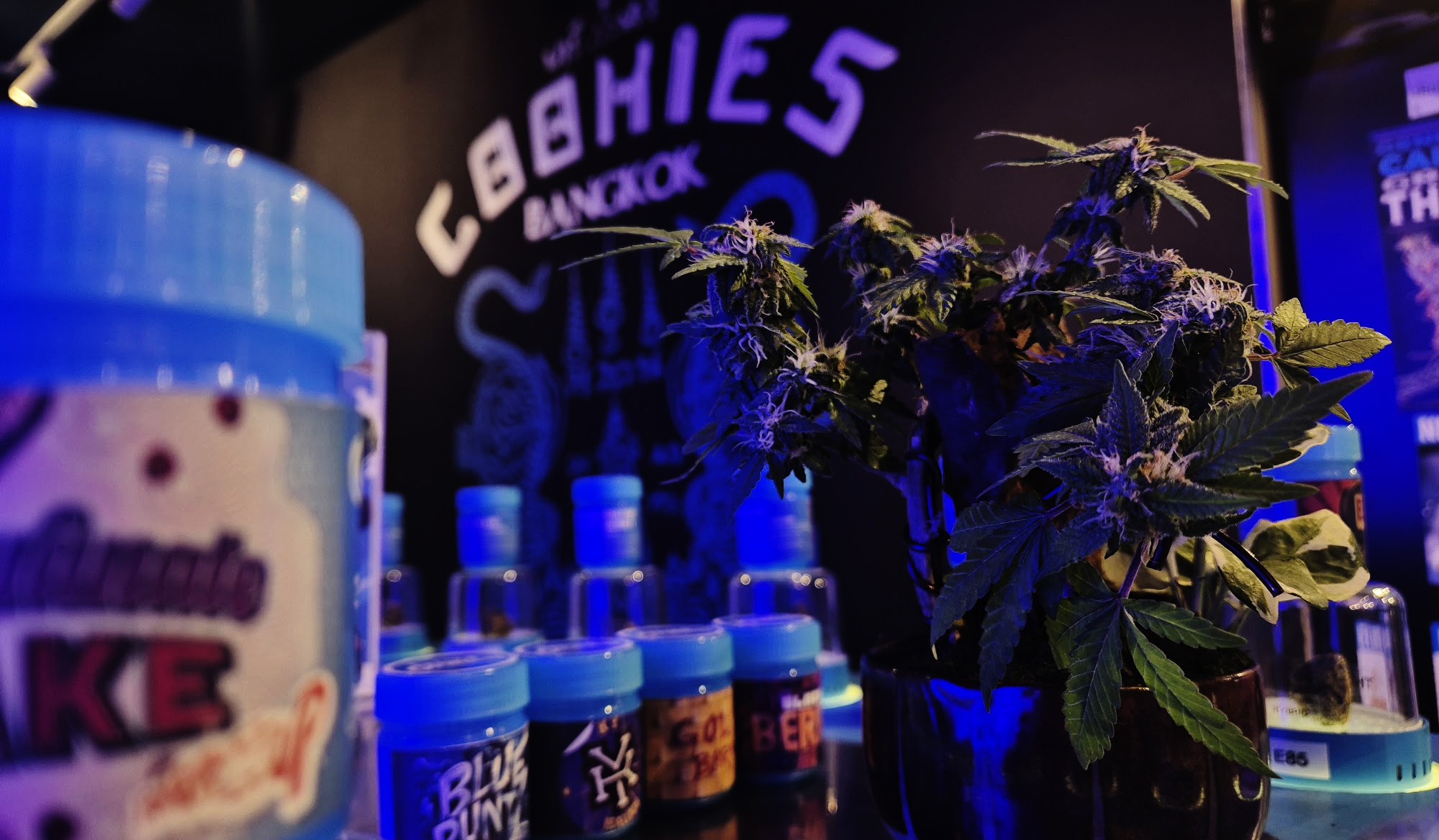 おすすめの大麻薬局