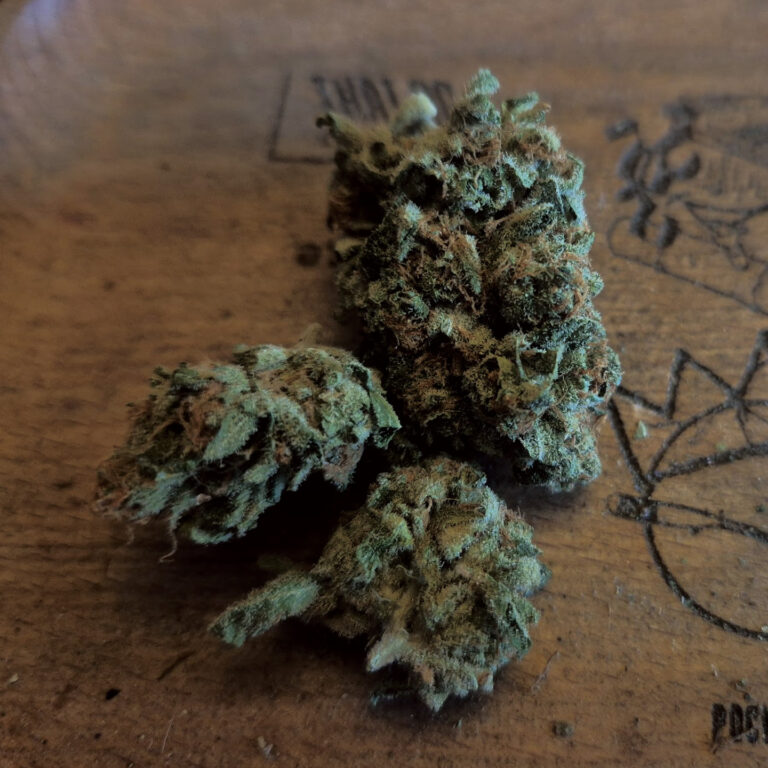 OG Kush の特徴｜土と松、スパイスが重なる“原点的インディカハイブリッド”