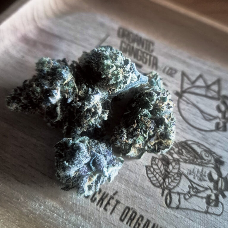 Pineapple Pucker の特徴｜鋭いパイナップル酸味が弾ける“キレ系トロピカルハイ”