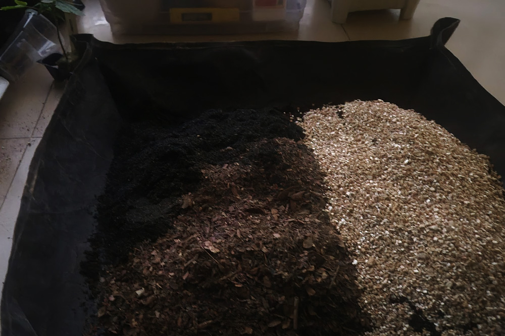 大麻を育てる土