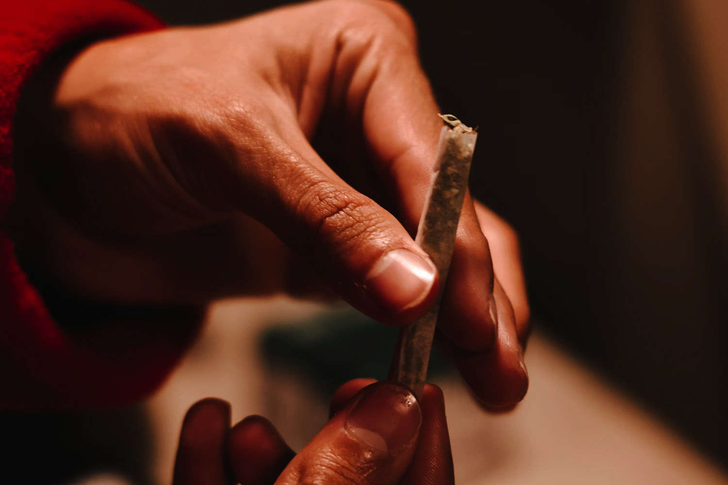 ジョイントを巻く女性の写真