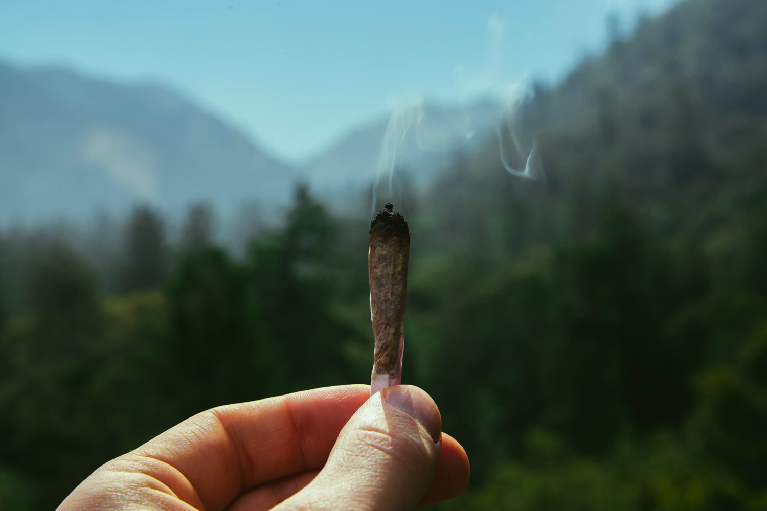 ジョイントを山で吸ってる写真