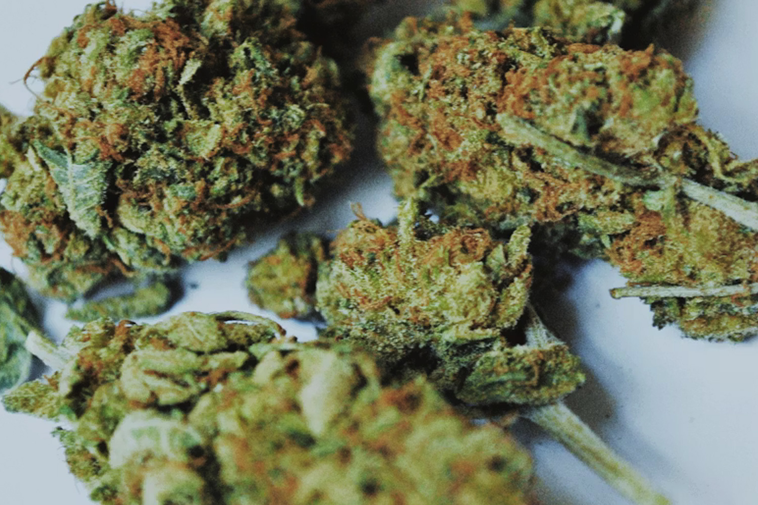 日本でCBDを吸って逮捕されるケースはあるのか｜誤解されやすいポイントを整理の記事のアイキャッチ写真