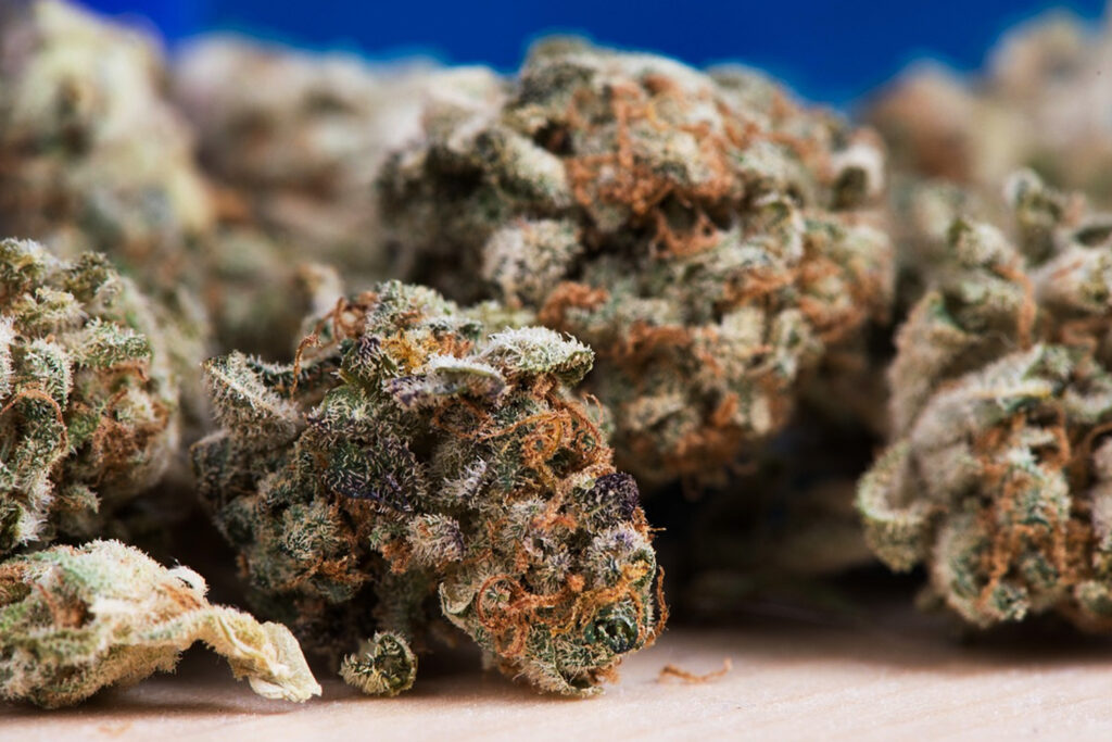 医療大麻と嗜好大麻の違いとは？目的・体感・制度の違いをわかりやすく整理