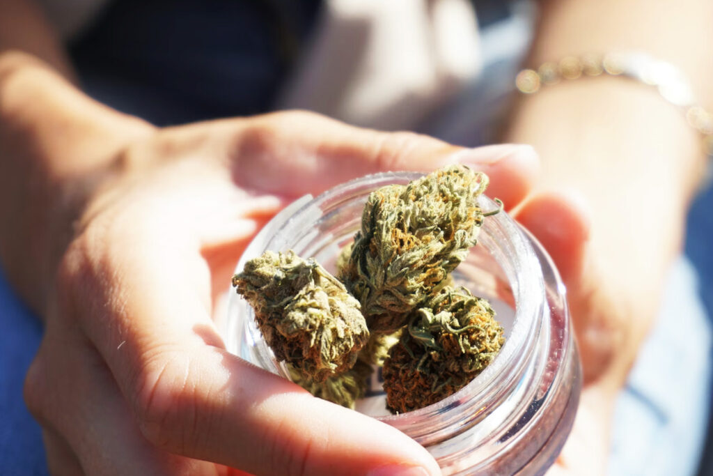 大麻と神経・ホルモン反応の関係｜THCが自律神経・食欲・睡眠に与える影響を体感と研究から整理