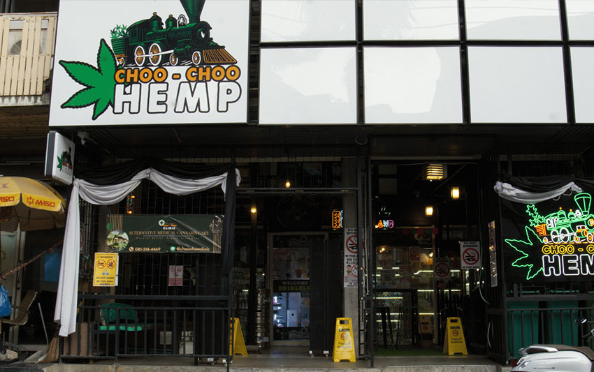 Cho Cho Hempの写真