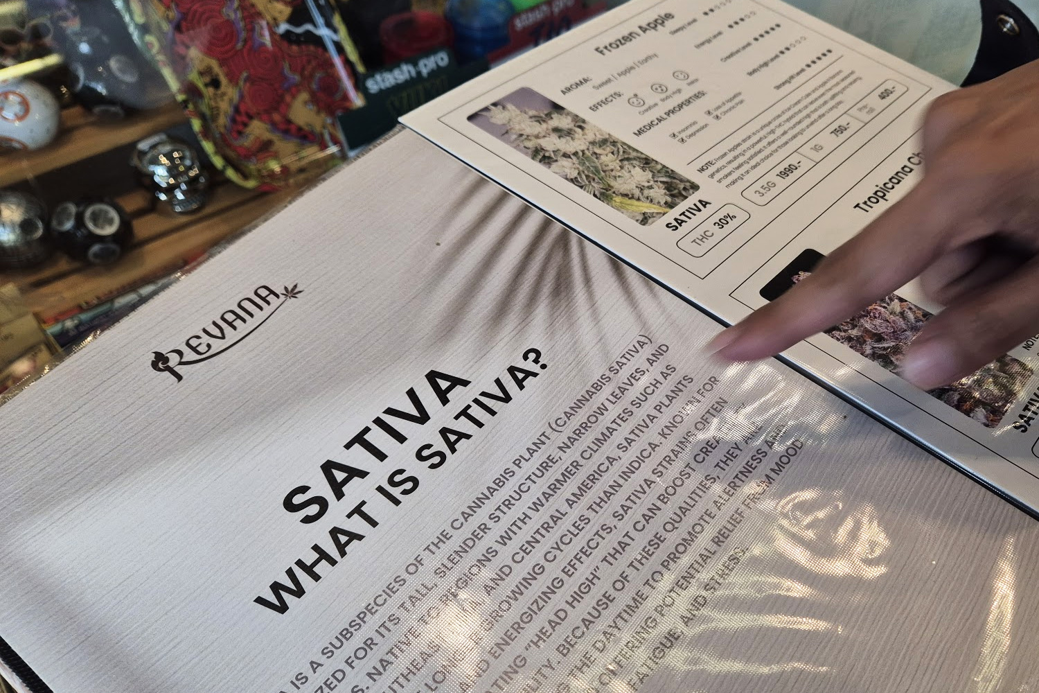 Strain guide booklet at Revana Café Silom — a dispensary in Bangkok's Silom district that provides printed strain descriptions for first-time visitors