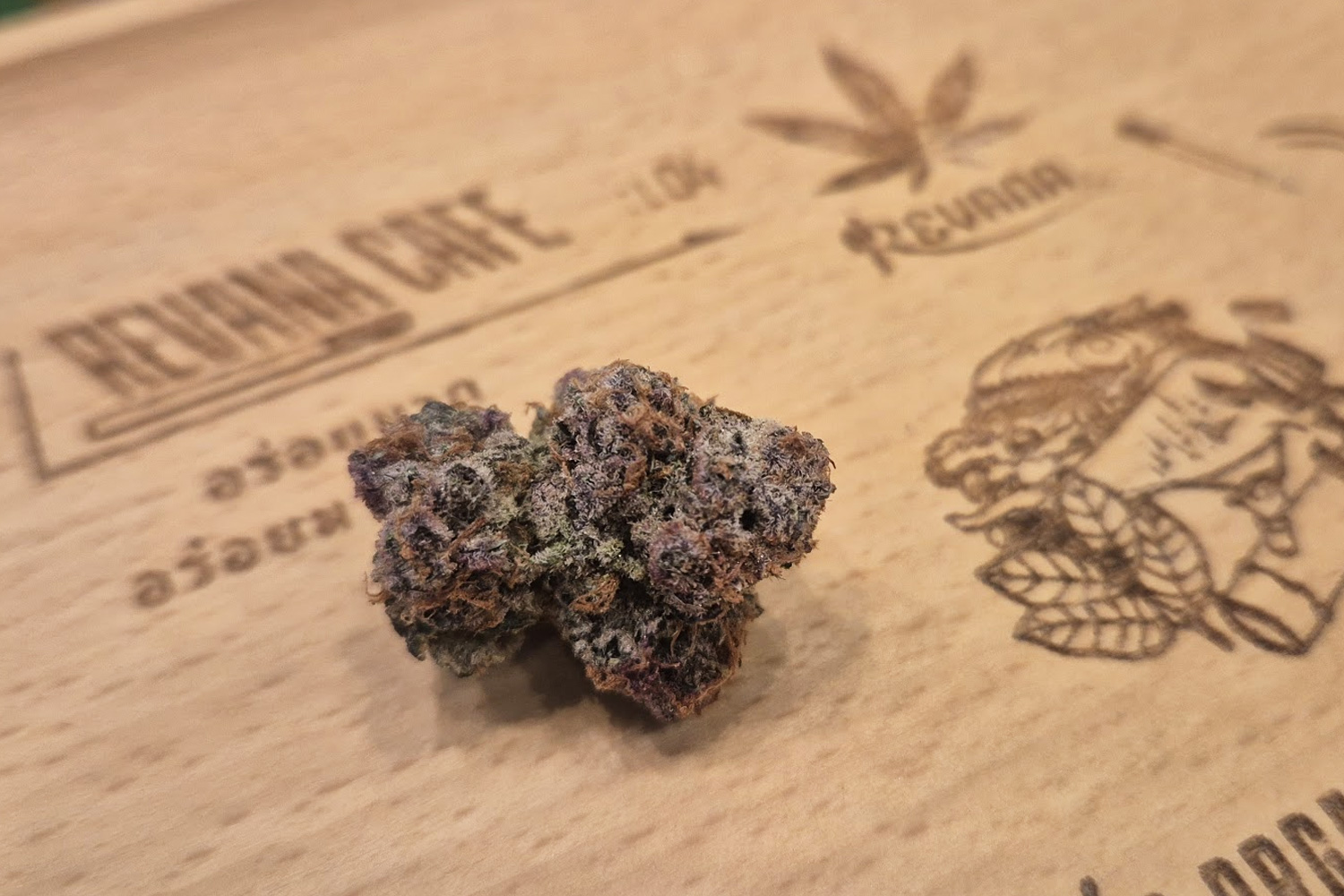 PunchBerry Cookies cannabis strain buds at Revana Café Silom — a hybrid strain with berry and cookie aroma profile