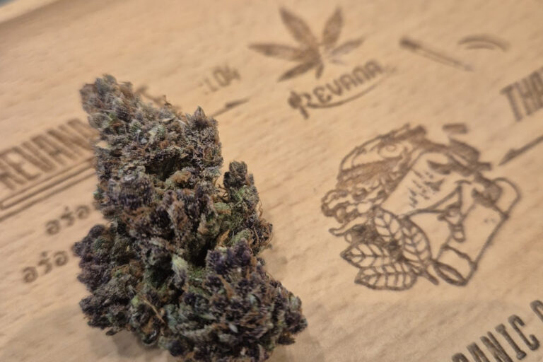 医療大麻“King Juice”の特徴｜熟したフルーツとキャンディの甘さが重なるジューシープロファイル