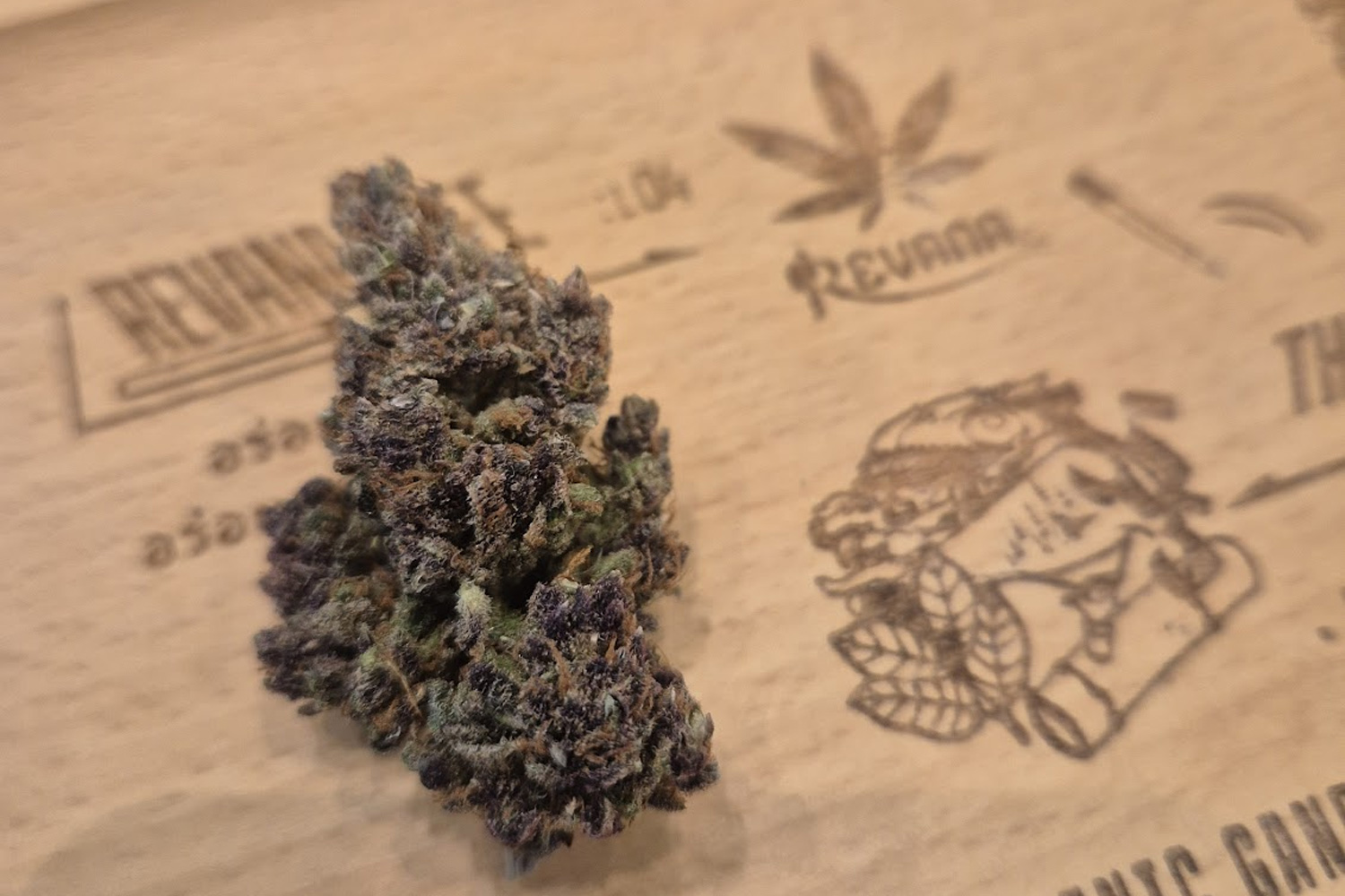 King Juice cannabis strain buds at Revana Café Silom — a tropical hybrid strain with mango and citrus aroma