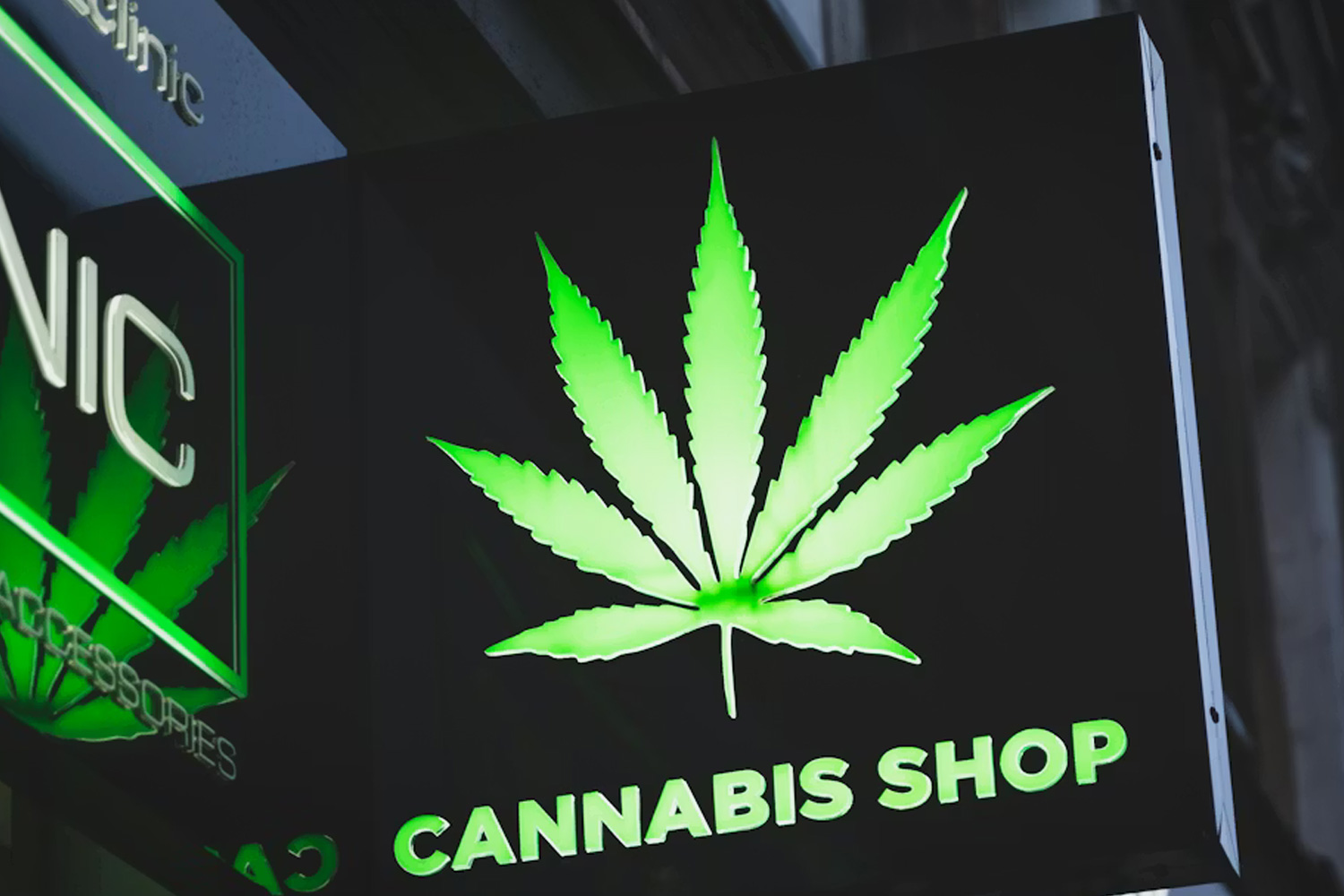 タイの大麻の値段はいくら？バンコクの価格相場と2026年規制変更後の注意点の記事の写真