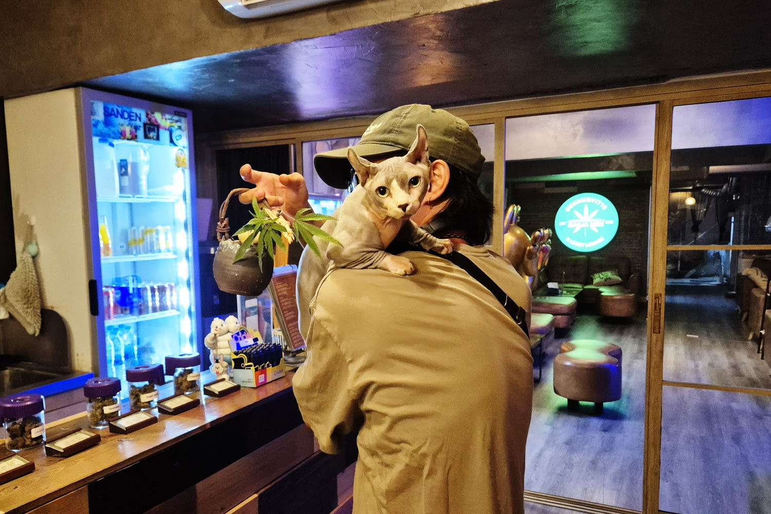 GANJA MEN's resident dog Batman inspecting the cannabis bonsai — Bangkok Asok 420 2026