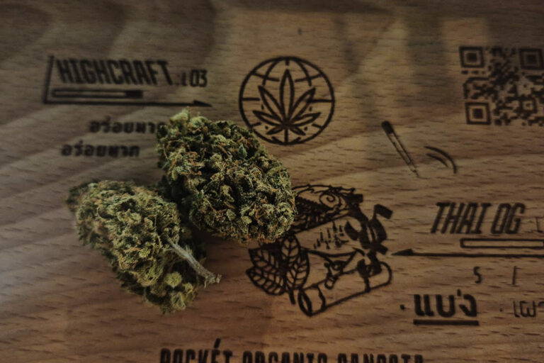 Amnesia Hazeの特徴｜シトラスとスパイスの香りが思考を軽く広げる“クラシックサティバハイ”